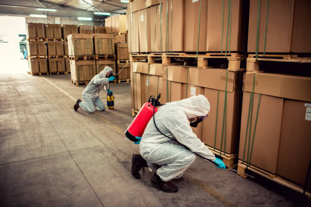 Best Best Pest Control Companies  in Kempner, TX
