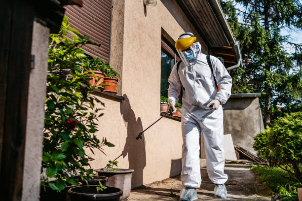 Best Best Pest Control Companies  in Kempner, TX