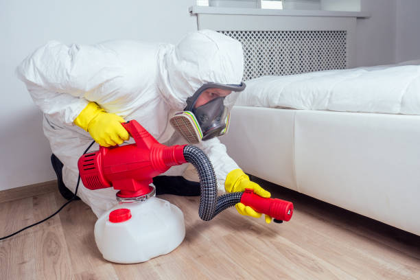 Trusted Kempner, TX Pest Control Experts
