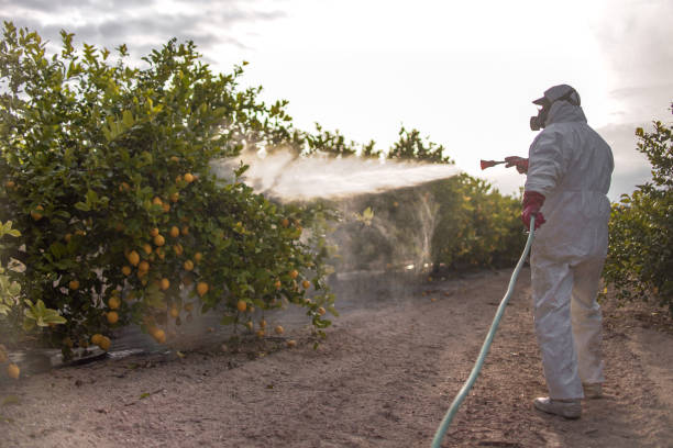 Best Flea Control Services  in Kempner, TX