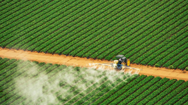 Best Mosquito Control Services  in Kempner, TX